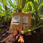 brookside_organics profile picture