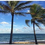 browardcountyfl profile picture