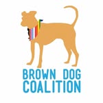 browndogcoalition profile picture