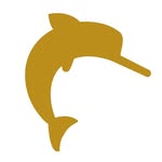 brswim.br profile picture