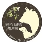 brum_animal_sanctuary profile picture