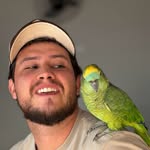bruno_beb profile picture