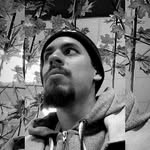 bruno_sanches21 profile picture