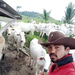 brunoslv579 profile picture