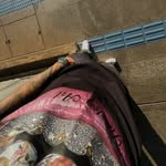 bruno_z4 profile picture