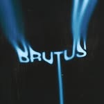 brutusmedia profile picture