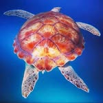 bryce_trevett profile picture