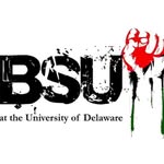bsu_udel profile picture