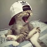 btw.avi_ profile picture