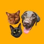 bubbathebrowndog profile picture