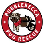 bubblebeccapugs profile picture