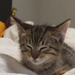 bubbynamira profile picture