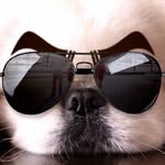 buchrubuchru profile picture
