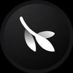 budarinastudio profile picture