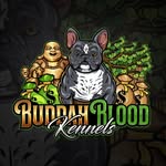 buddahbloodkennels profile picture