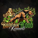 buddahblood_pits profile picture