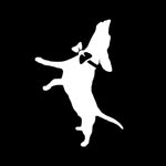 buddymercury profile picture