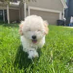buddytodddd profile picture