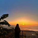 budharadhika234 profile picture