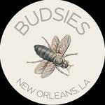 budsiesnola profile picture