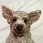 buford_aloysius profile picture