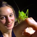 bugfluence profile picture