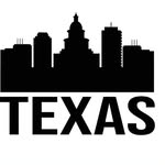 buildtexasfuture profile picture