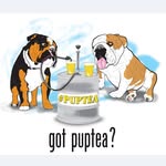 bulldogpuptea profile picture