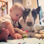bulliesandthejett profile picture