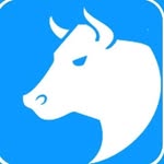 bullsmmpanel profile picture