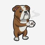 bullyjoeco profile picture