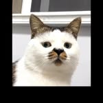 bumbu._.kacang profile picture