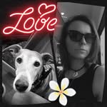 bummelliese_2013 profile picture