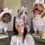 bundleofbullies profile picture