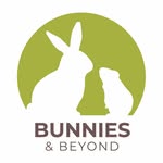 bunnies_and_beyond profile picture