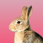 bunnyeventslondon profile picture