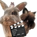 bunnyhamsky profile picture