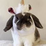 bunnyloulu profile picture