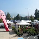 burbankfarmersmarket profile picture