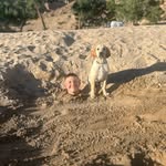 burdick_jack profile picture