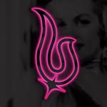 burlesquehall profile picture
