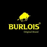 burlois profile picture