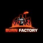 burnfactoryshow profile picture