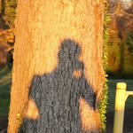burntstudiophotography profile picture
