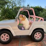 burrito_nibbler profile picture