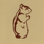burrow.bk profile picture