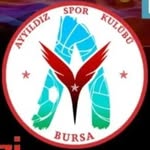 bursaayyildiz profile picture