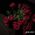 bushaa.98 profile picture