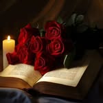 bushra_arshad_1 profile picture