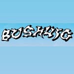 bushwig profile picture